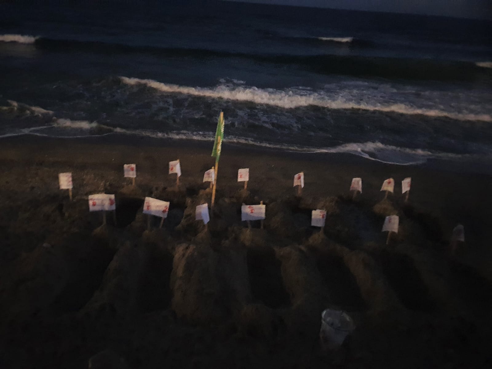 WhatsApp Image 2020-06-15 at 9.19.16 AM (1).jpeg.jpeg